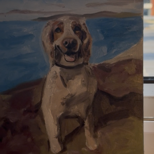 Hand-painted oil portrait of a Cocker Spaniel with soft wavy ears and expressive eyes, commissioned pet portrait by Aalim Chowdhry
