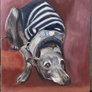 Italian Greyhound, Resting His Nose, oil on canvas by Aalim Chowdhry