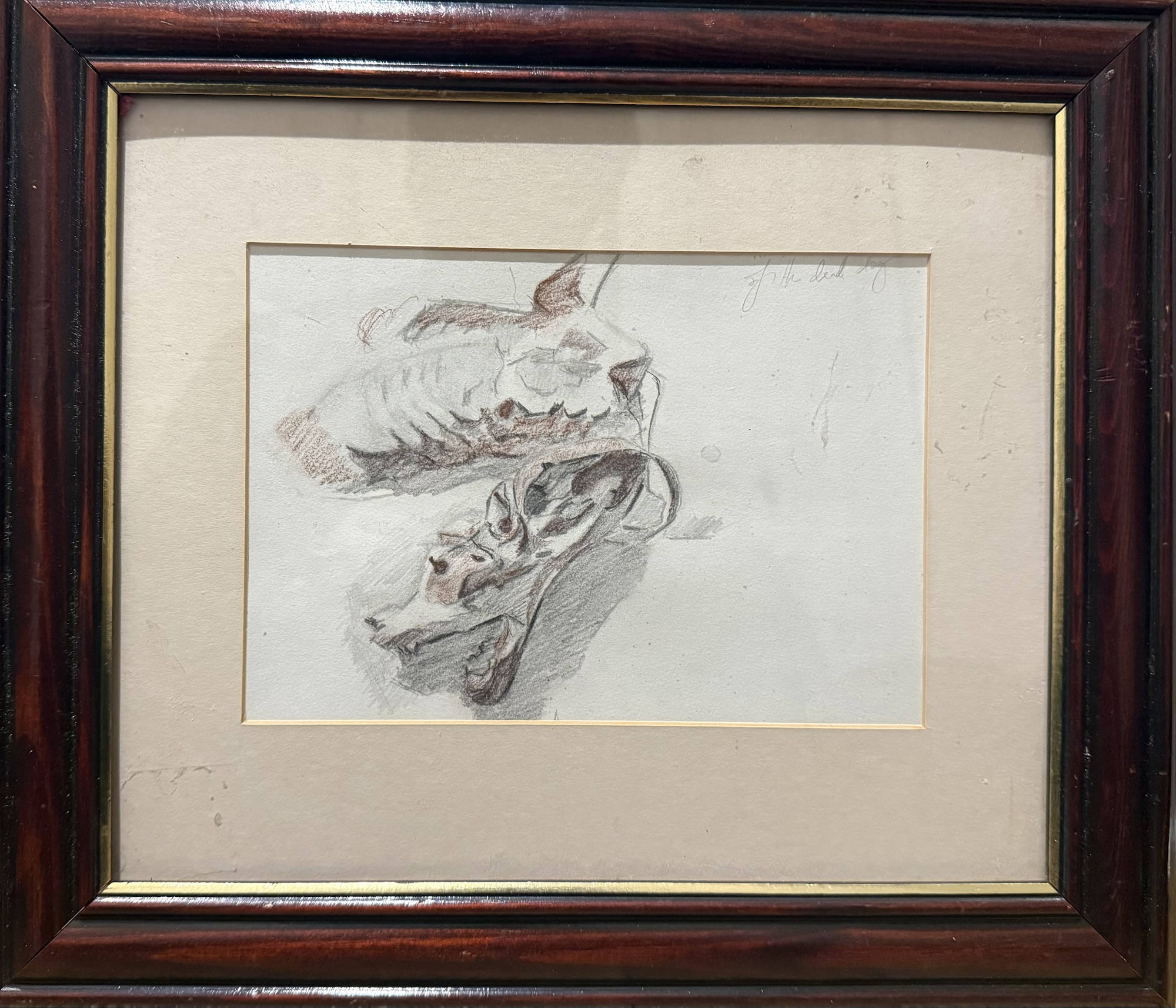 Study for Dogman, graphite and red chalk on paper by Aalim Chowdhry